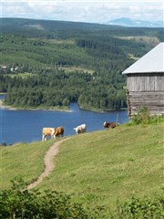 Åfloån mynnar ut i Hällsjön, vy från Övre Kaxås